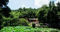 長沙出發(fā)到花明樓、韶山、張家界國家森林公園、天門仙山國家森林公園四日游